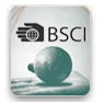 BSCI驗(yàn)廠(chǎng)咨詢(xún)專(zhuān)題